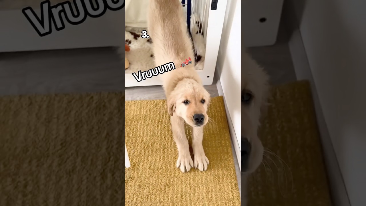 Top 10 Big Stretches