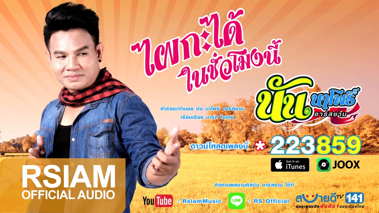 ไผกะได้ ในชั่วโมงนี้ : นัน นาโพธิ์ อาร์ สยาม [Official Audio]
