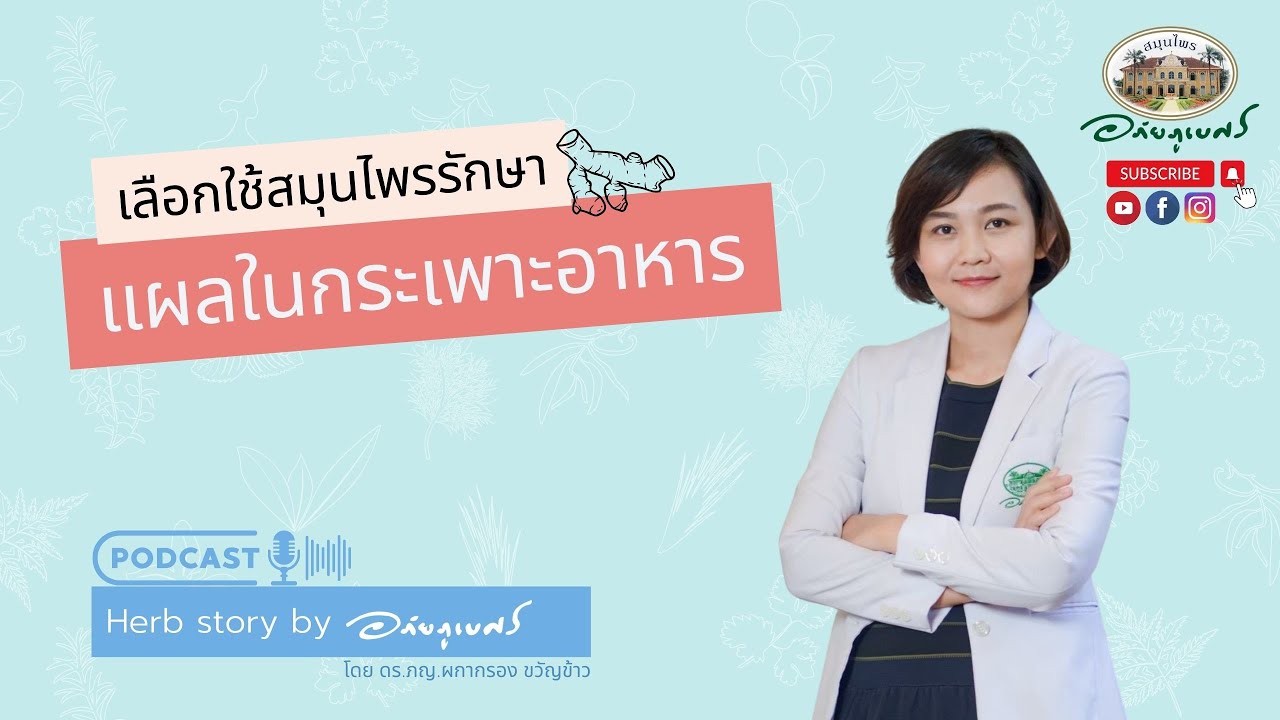 สมุนไพร รักษาแผลในกระเพาะอาหาร l อภัยภูเบศร Podcast (2023)