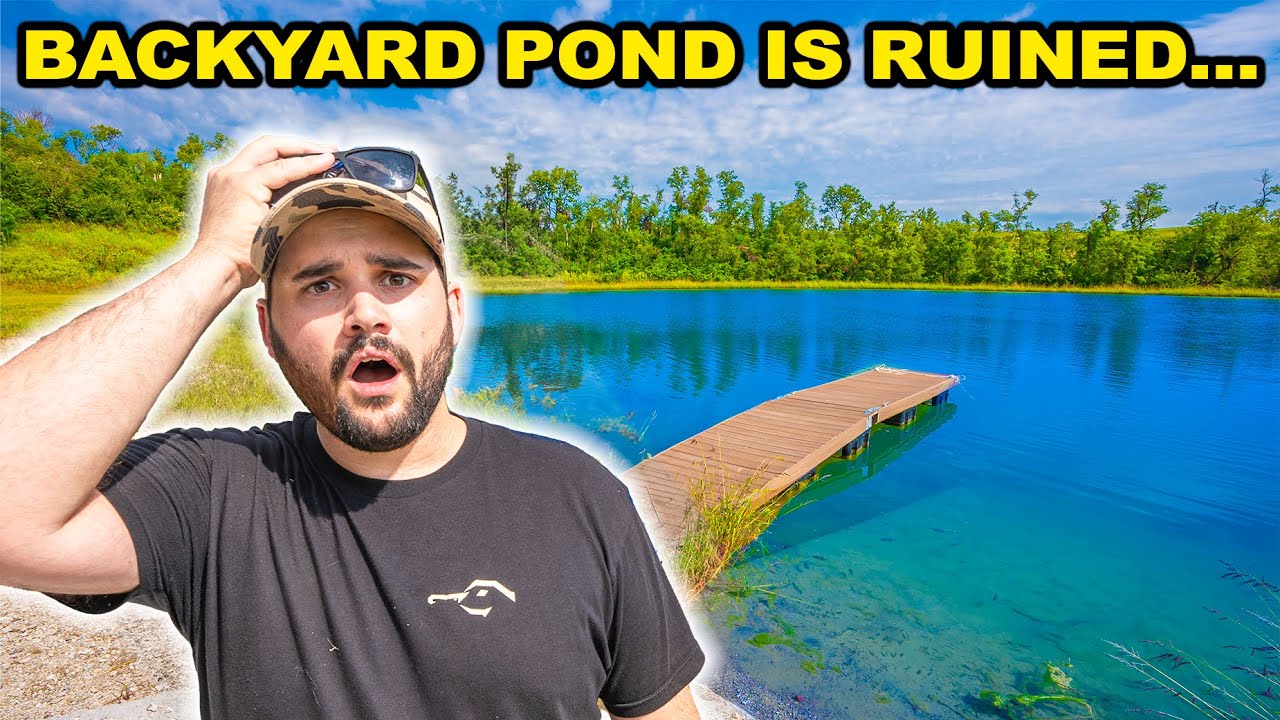 INVASIVE Fish are TAKING OVER the BACKYARD POND!!! (Drain It?)
