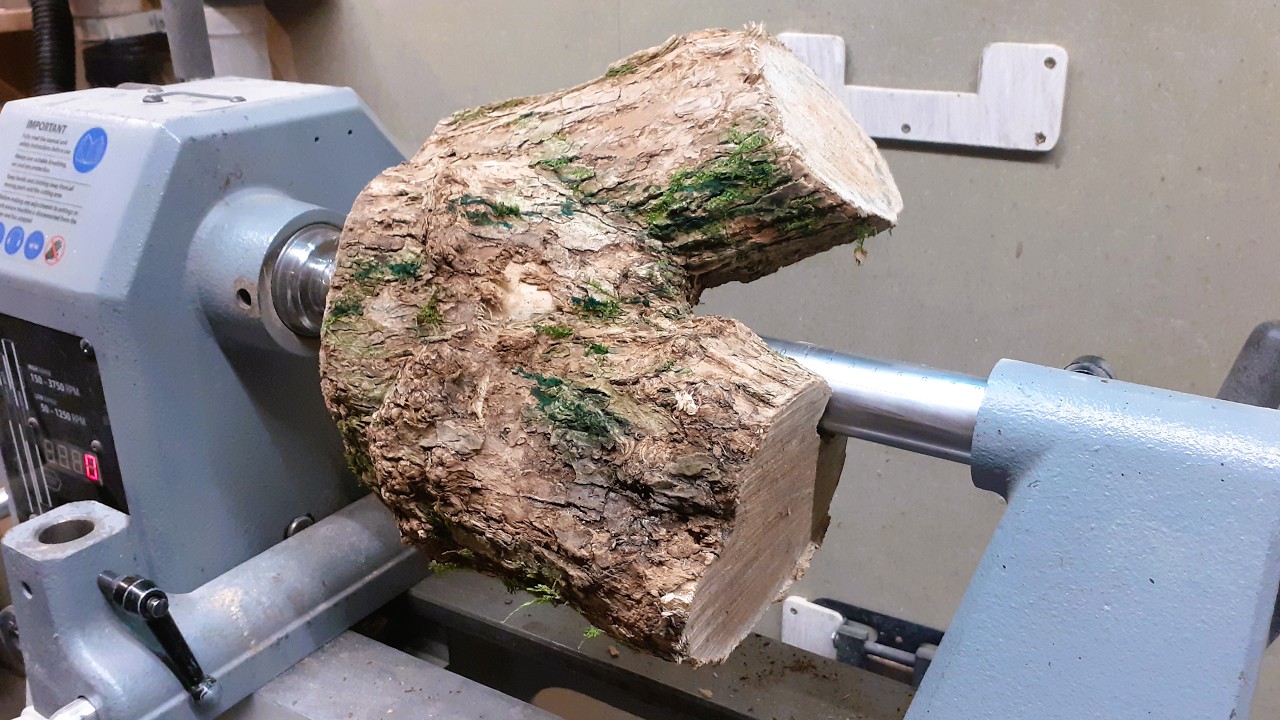 An Unknown Crotch Log !!