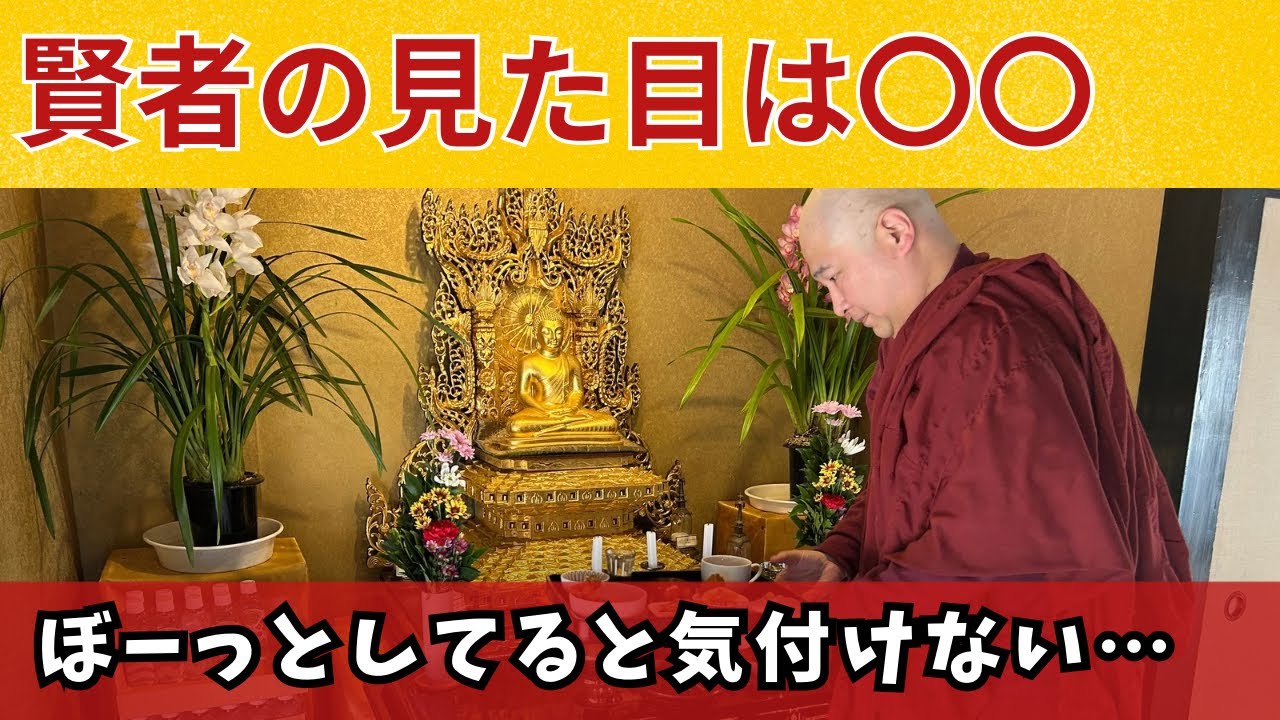 智慧がある人の特徴はこれ！サーリプッタ寂止経