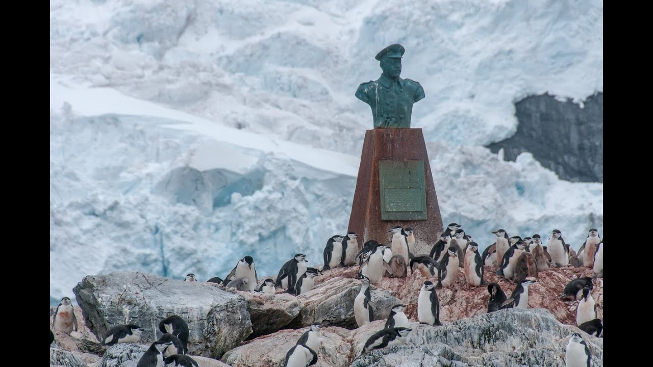 Shackelton's Point Wild on Elephant Island in Antarctica