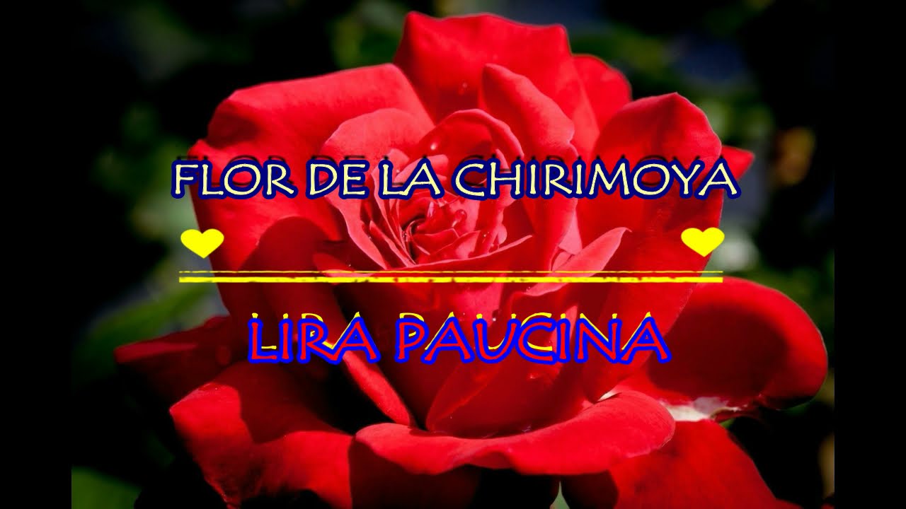 FLOR DE LA CHIRIMOYA - LIRA PAUCINA