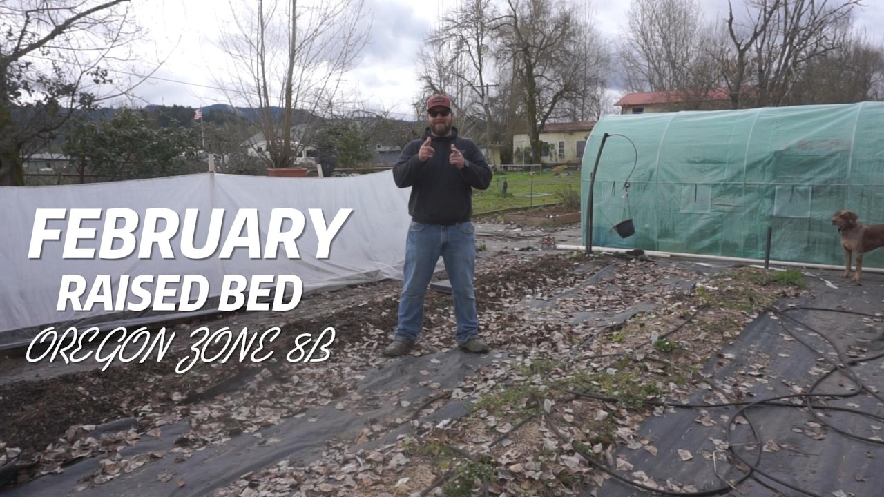 BUILDING RAISED BED IN FEBRUARY STORM!!! #oregongardening #budgetgardening #februarygardening