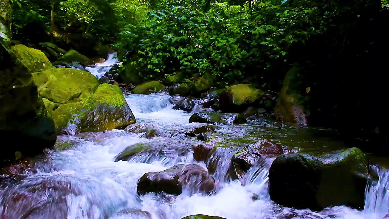 Forest Creek Flowing All Night | Mountain Water White Noise for Stress Relief