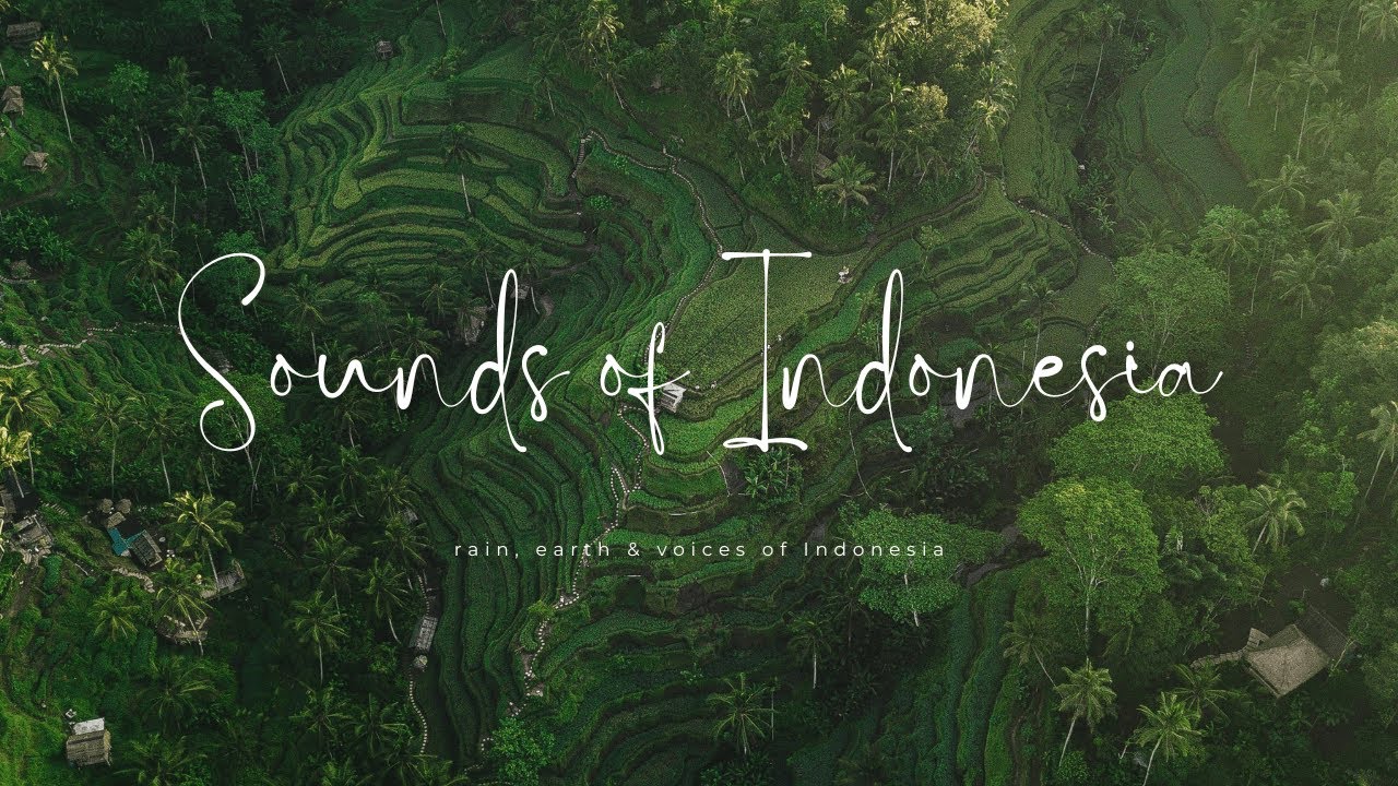 Sounds of Indonesia: Nature, Earth & Voices of Indonesia I a nature documentary