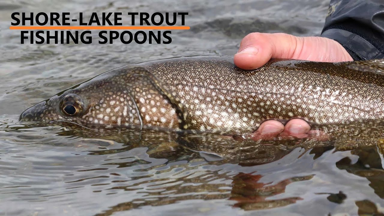 How to Locate and Catch Lake Trout from SHORE with SPOONS