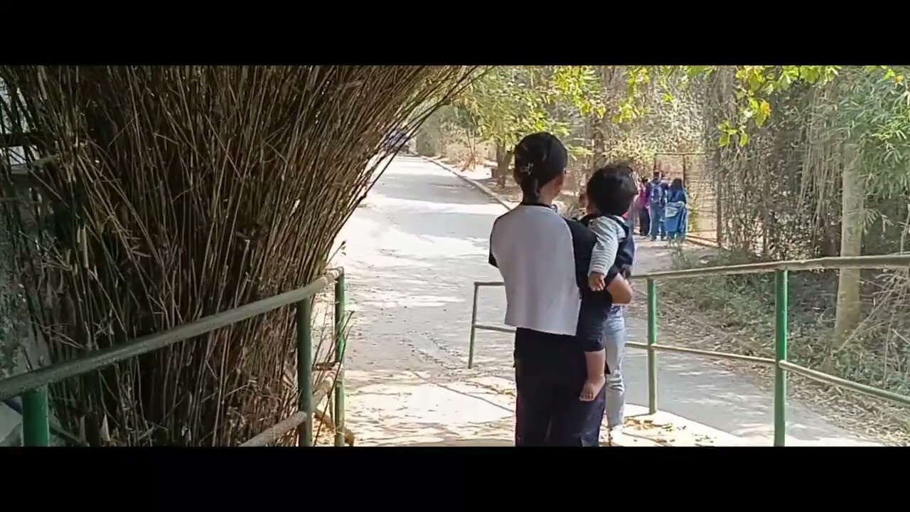 A Visit to Assam State Zoo Cum Botanical Garden in Guwahati 