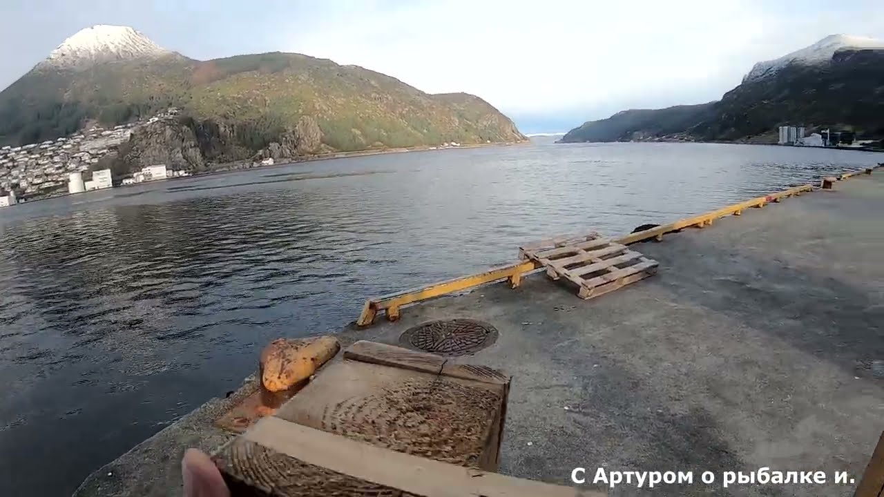 Как поймать леща в Норвегии. Я возьму говяжий