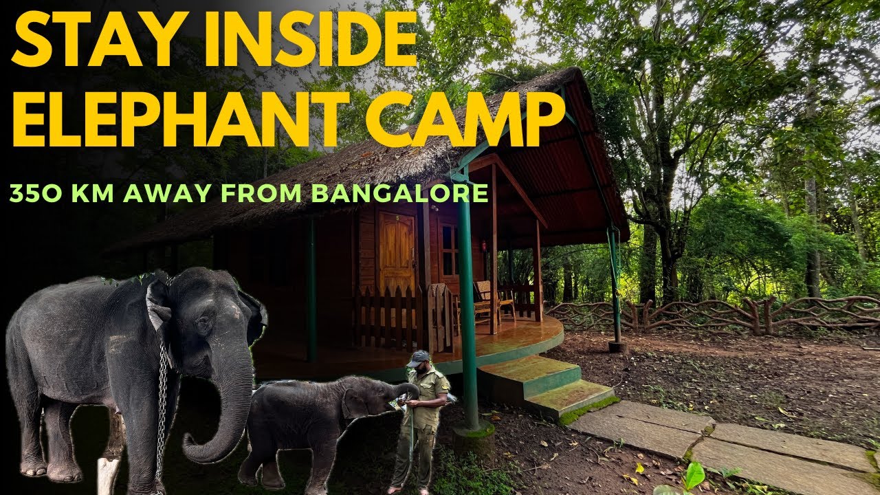 Experience the BEST Jungle Lodges at Sakrebyle Elephant Camps | offbeat travel