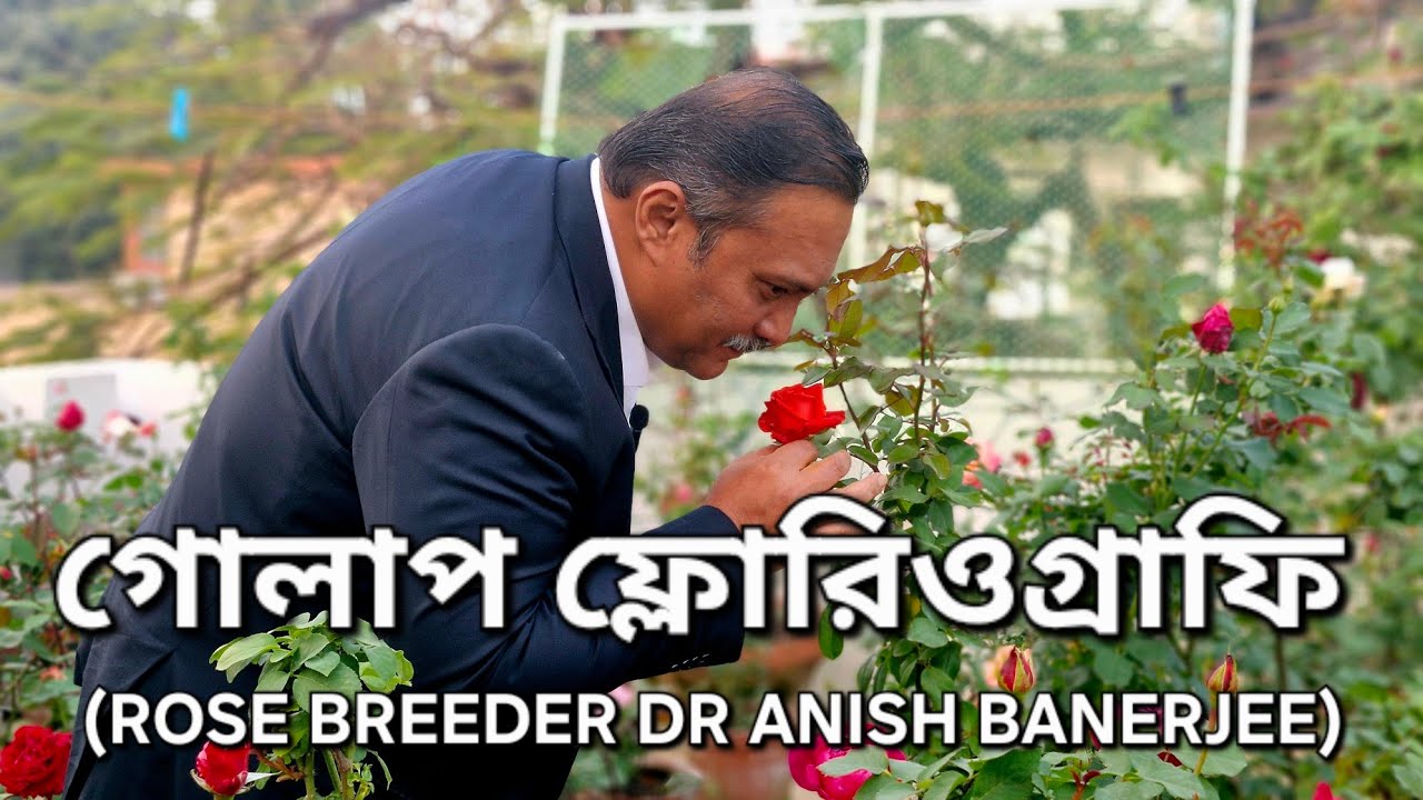 গোলাপের ফ্লোরিওগ্রাফি | Rose Floriography Guide | Dr Anish Banerjee | Part 1|