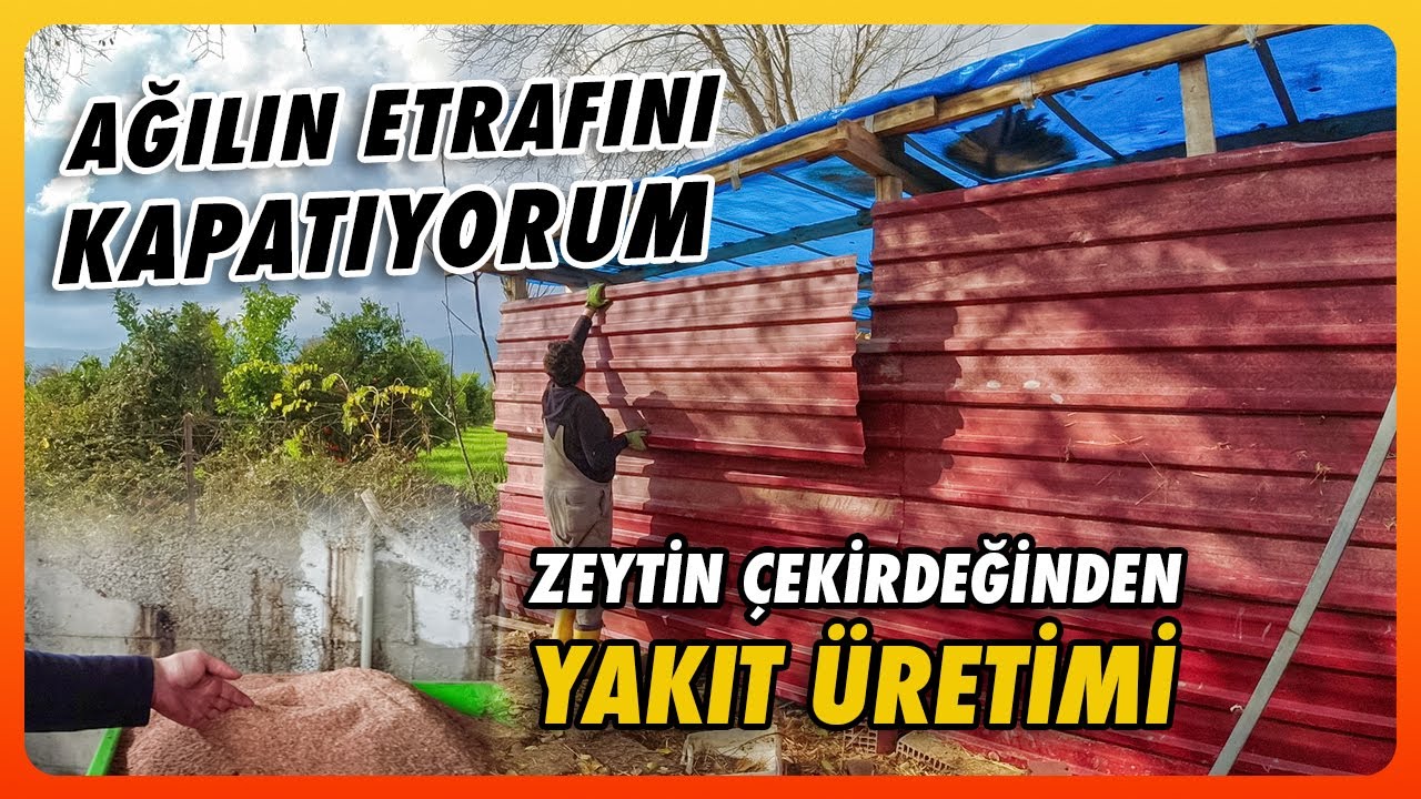 Zeytin Çekirdeğinden Yakıt Elde Ediyorlar | Kalitesiz Zeytinyağı Nasıl Yapılıyor?