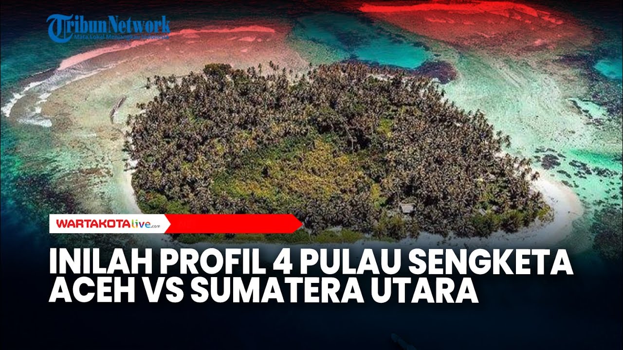 Profil 4 Pulau Sengketa Aceh Vs Sumut, Diduga Punya Kandungan Migas