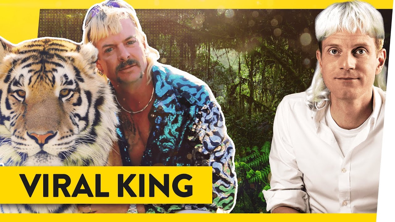 Tiger King - schlechte Doku, guter Trash! | WALULIS