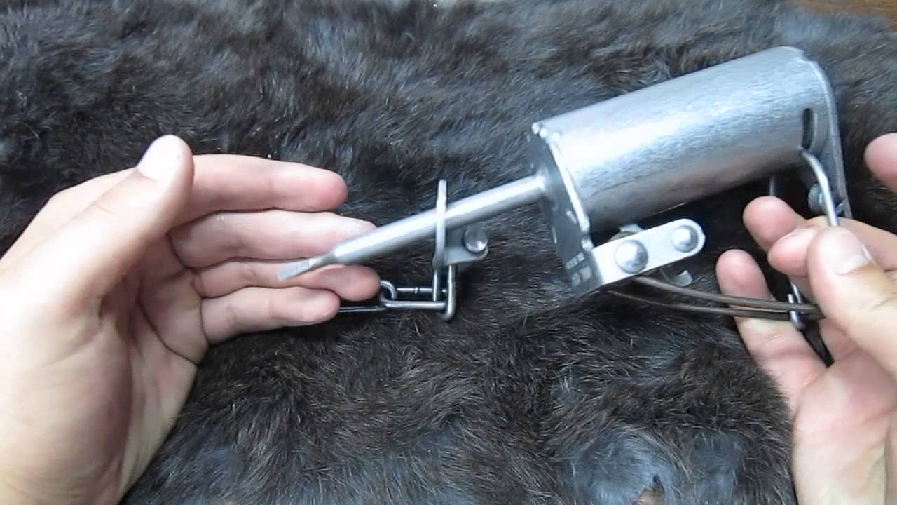 Duke DP Close-up