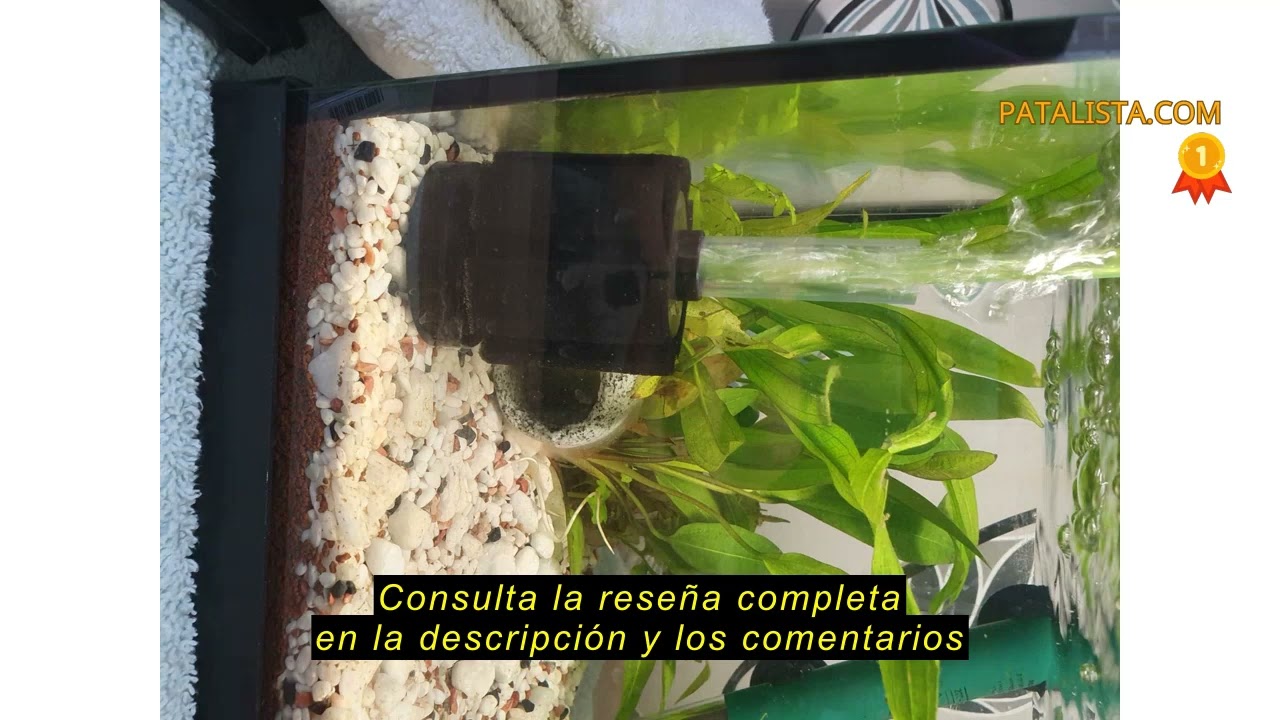 Reseña del Ocean Free ICA BFBABY Filtro de Esponja para Acuarios Pequeños, Ideal para Acuarios de Cr