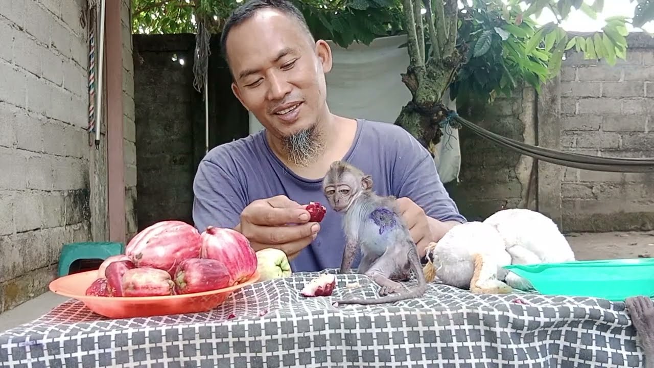 9 Maret 2026 B berteriak melihat obat tetes buat luka di tubuhnya