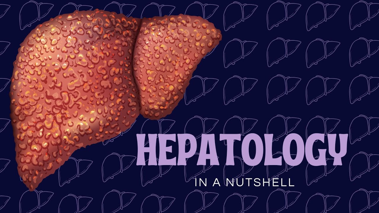 Hepatology in a Nutshell part 1