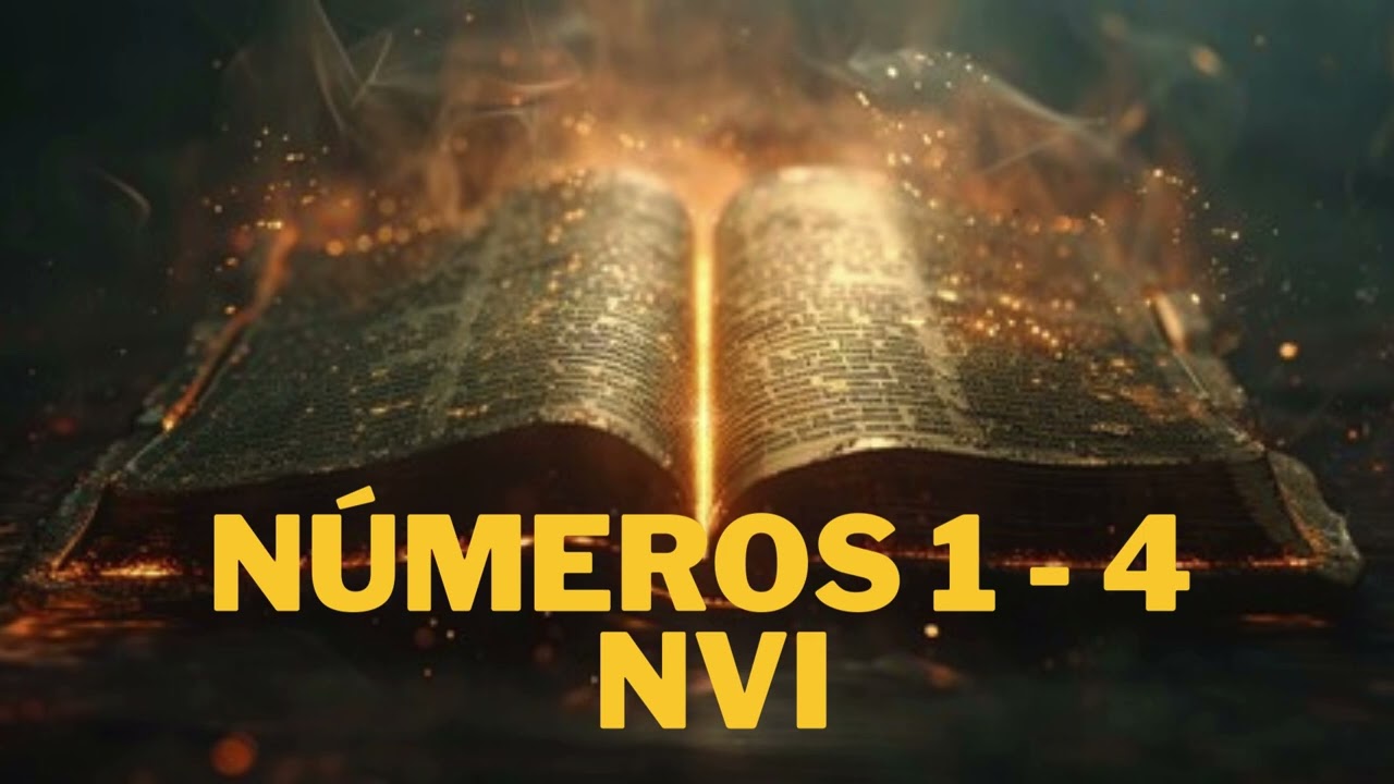 Números 1  -  4