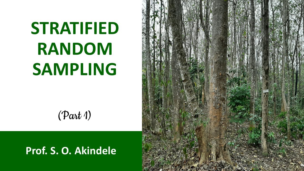 Stratified Random Sampling (Part 1)
