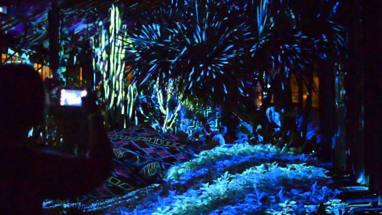 Longwood Gardens - Nightscape