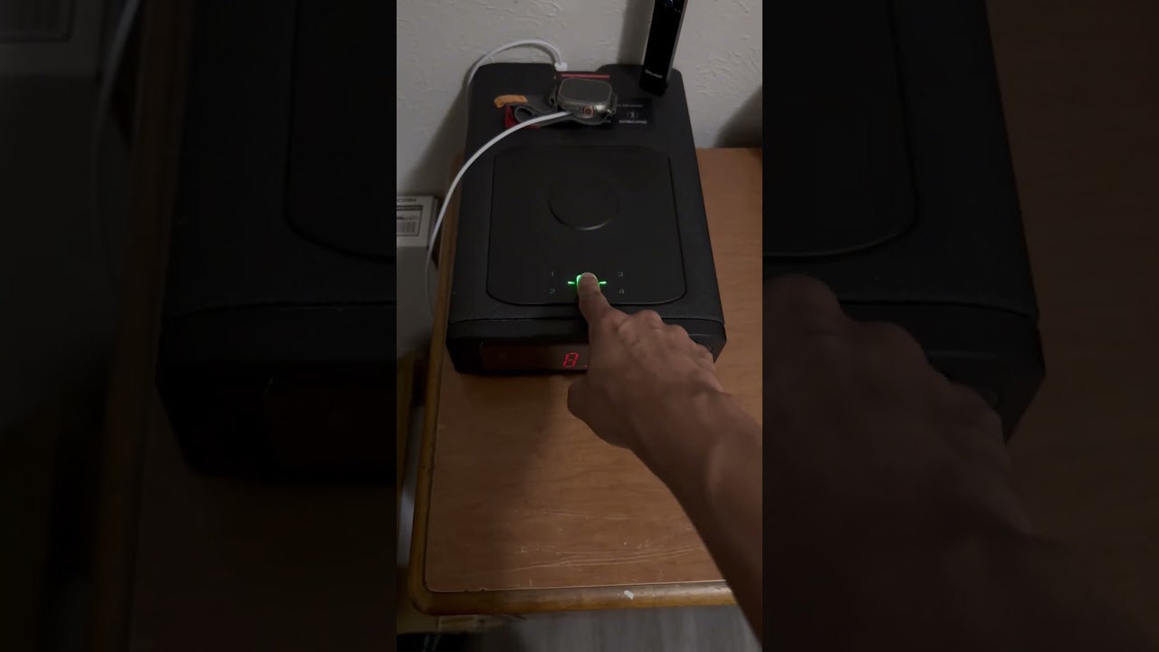 Vaultek DS2i smart station safe. Great for home!