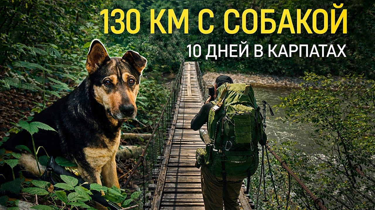 130 КМ ЧЕРЕЗ КАРПАТЫ | 10 ДНЕЙ С СОБАКОЙ | NoEscapes.FYI