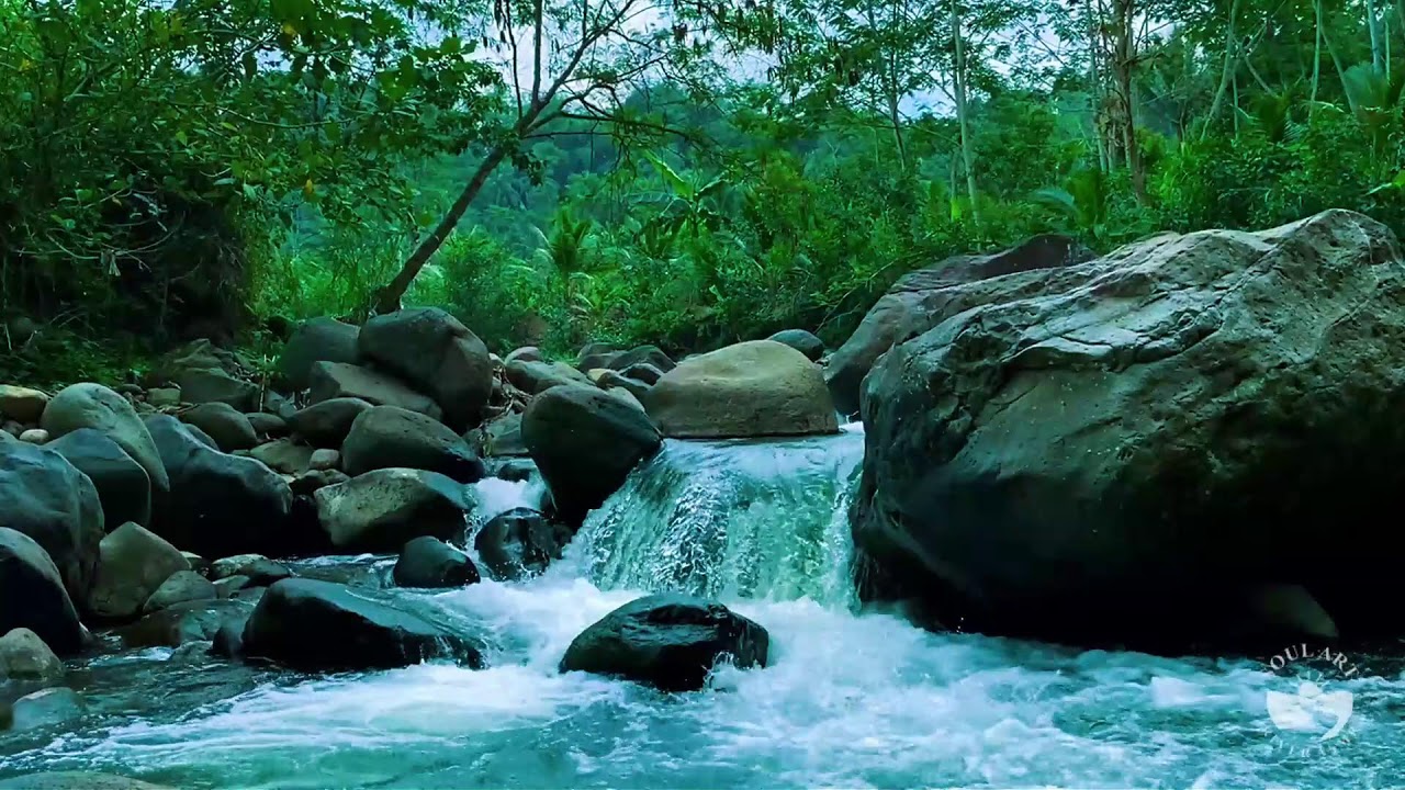 Deep Sleep River Stream Ambience | Soft Flowing Water for Night Relaxation