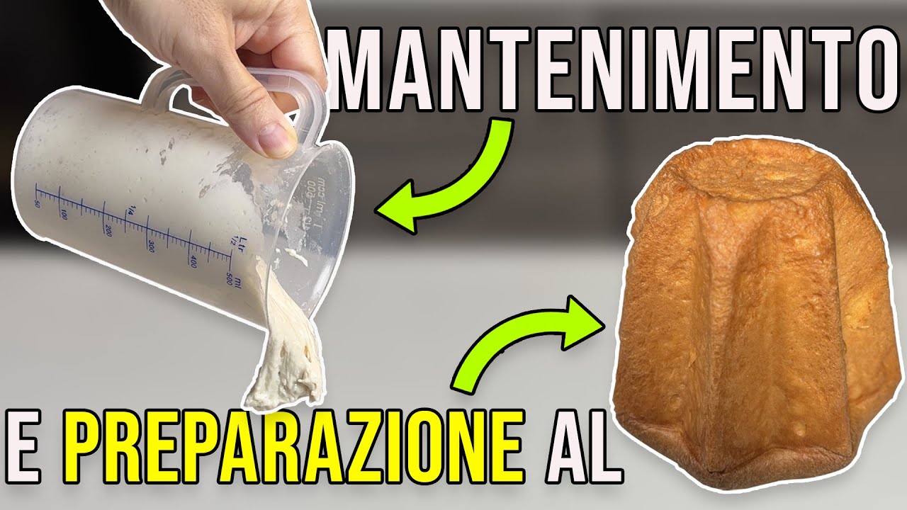 Come mantenere il LICOLI e prepararlo ai GRANDI LIEVITATI | Guida completa passo passo