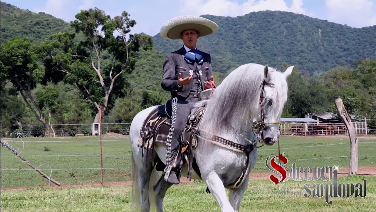 De Que Te Quiero, Te Quiero - Steeven Sandoval (VideoClip)