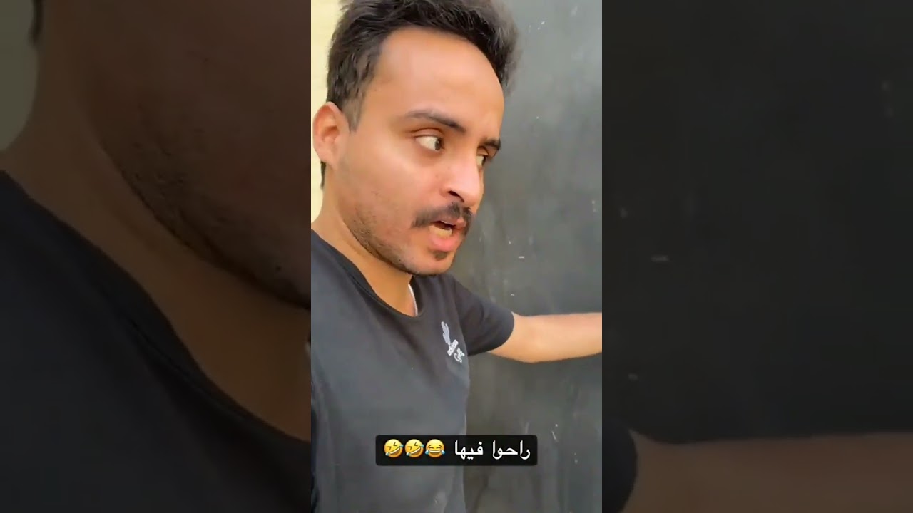 أكل حسون وأبو سمرة دجاجات سمعه الأليفة