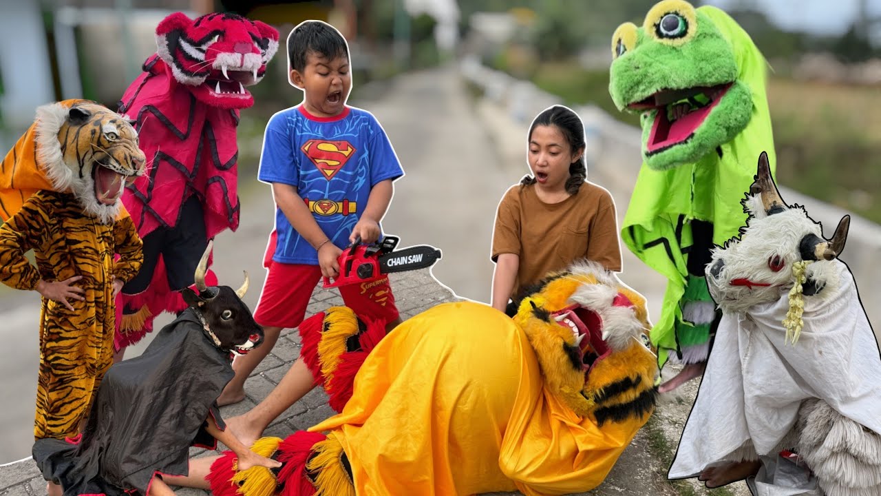 film lucu | VICHO PUNYA BARONGAN MACAN KUNING YANG SEDANG HAMIL TUA 