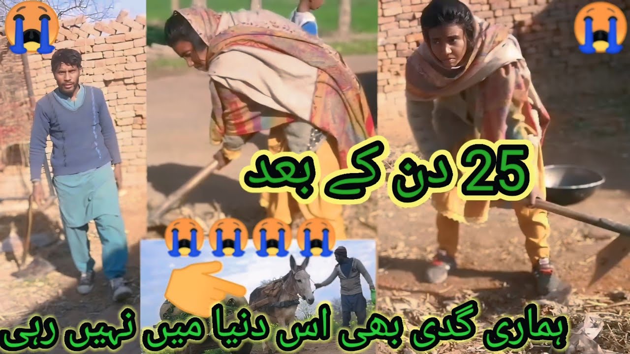 ہماری گدھی اس دنیا میں نہیں رہی😭😭