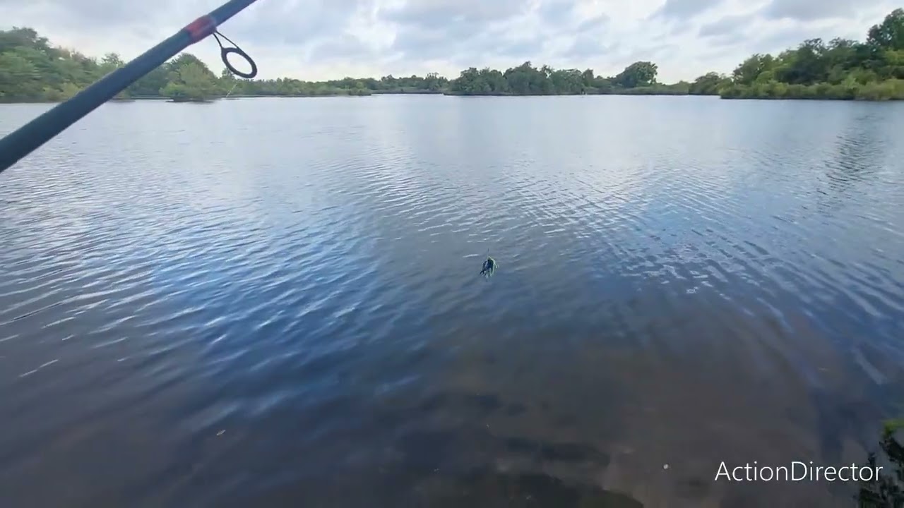 Largemouth Bass, Green Assassin Fishing Team  Hawg-Kawler Bewitcher in action.