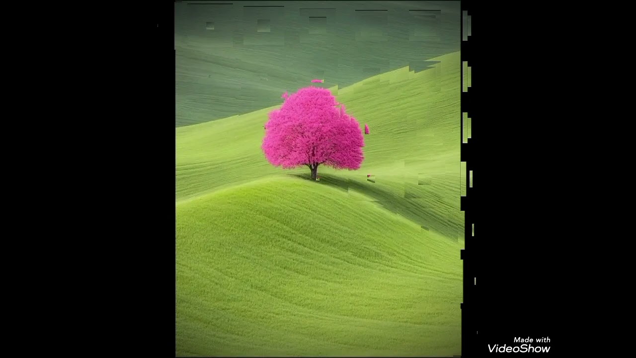 الشاب احميدة  لا عرقوب صحيح