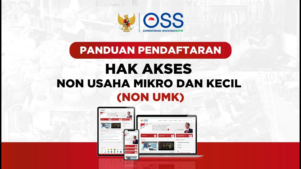 Panduan Pendaftaran Hak Akses Non Usaha Mikro dan Kecil (Non UMK)