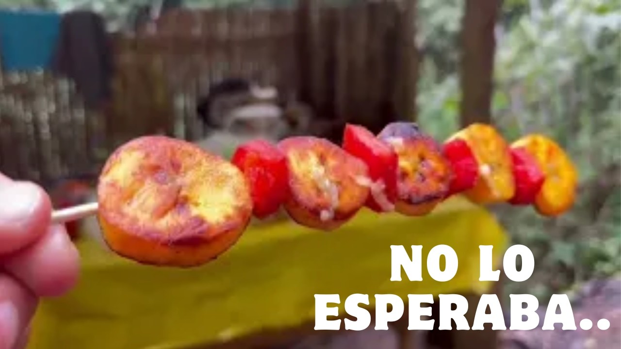 Mi experiencia en la Meche