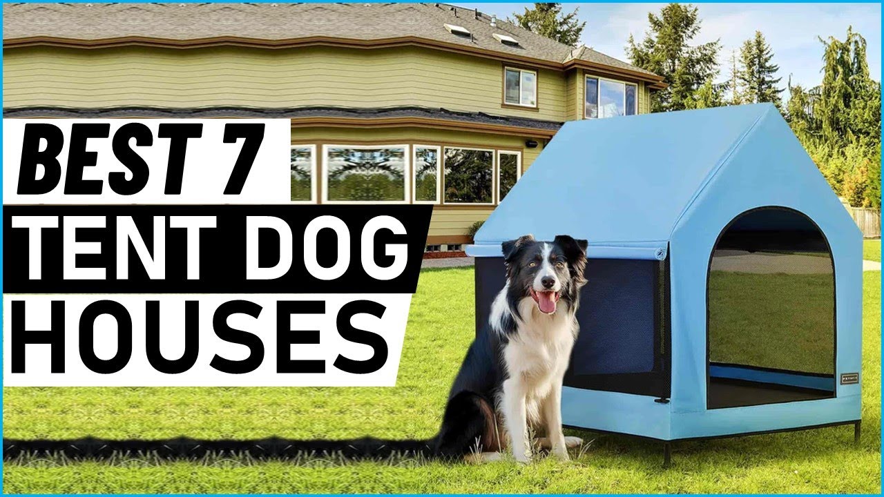 Top 7 Best Tent Dog Houses in 2025