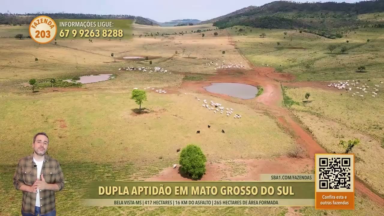 Terralmo 32: Fazenda à vista em Bela Vista/MS