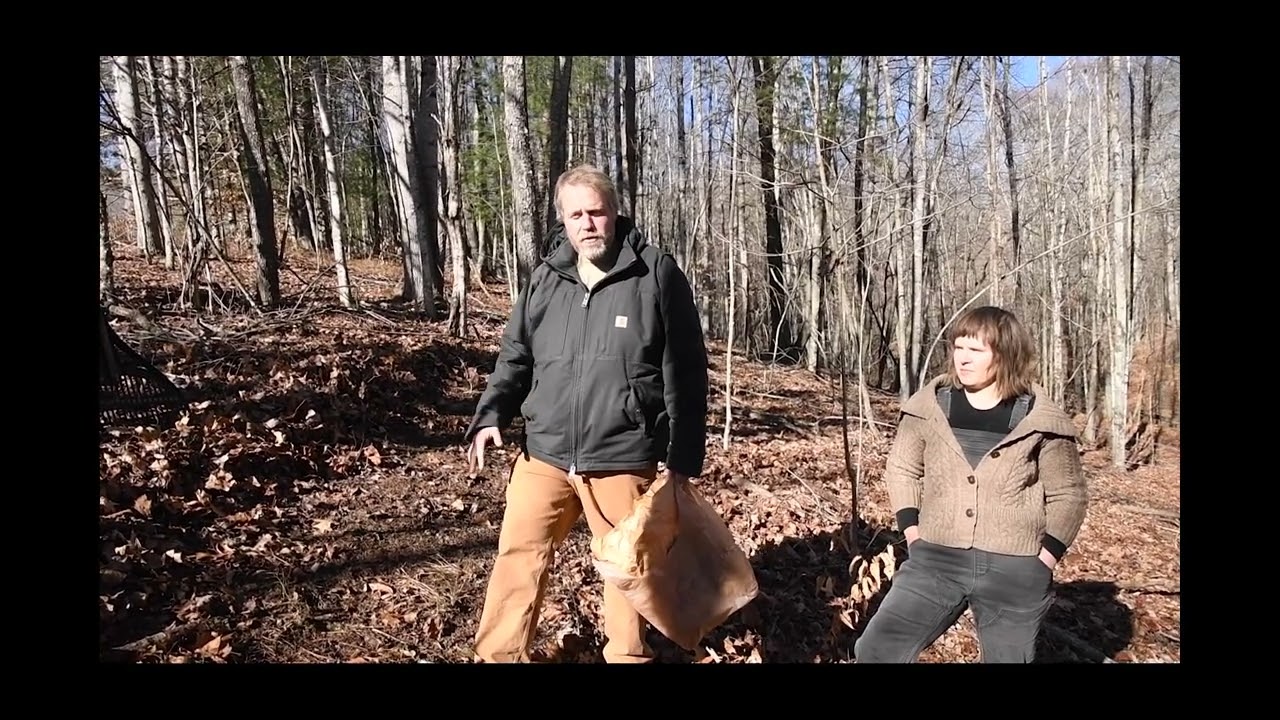 Planting Ramps by seed in the Fall at the Yew Mountain Center &ndash; Hillsboro, WV