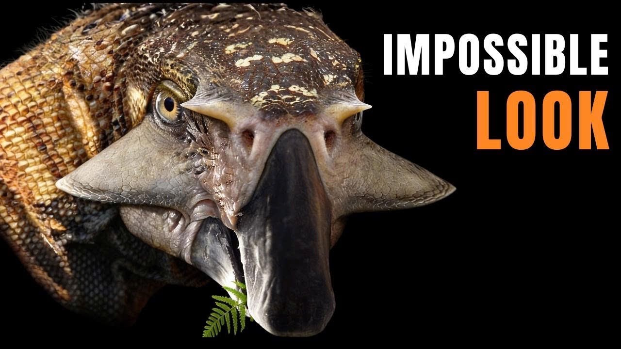 This Dinosaur Had Scales and Feathers — Science Finally Saw The Truth