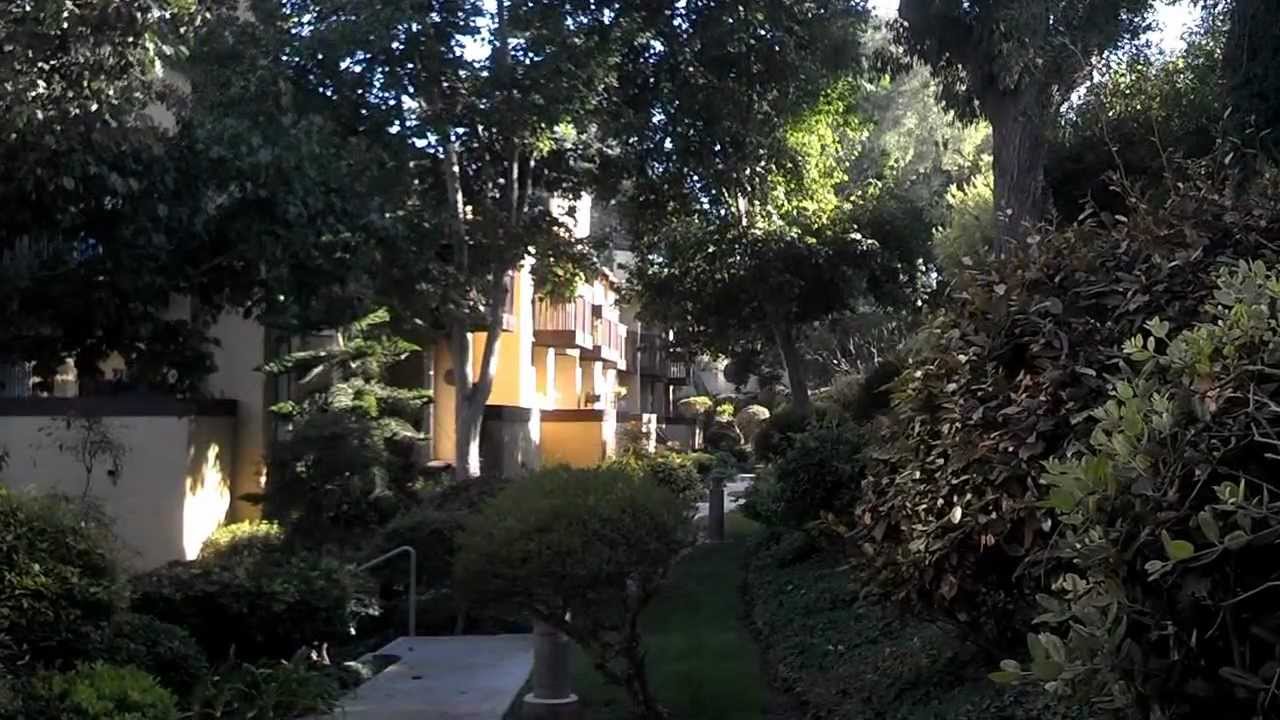 Leucadia Real Estate TV Pacifica