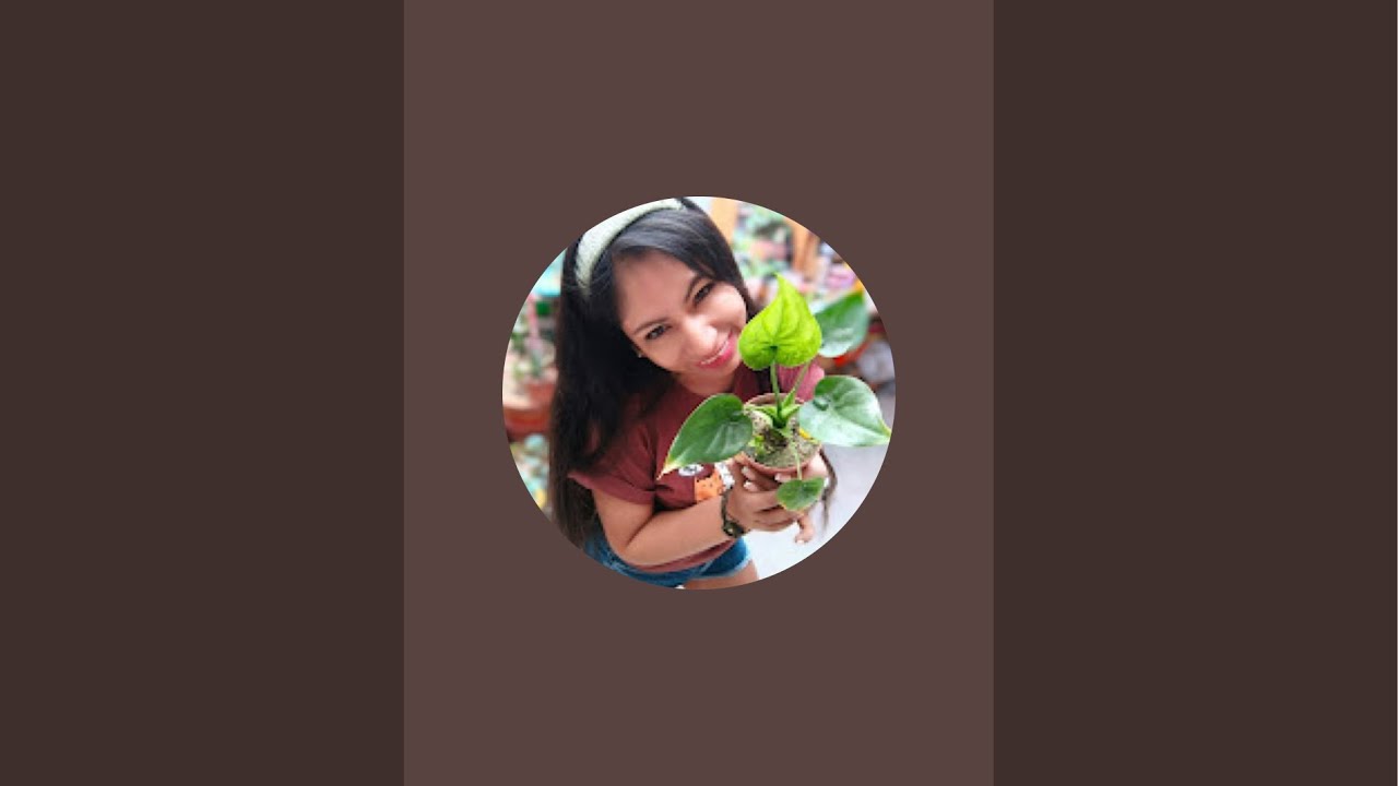 Un RECORRIDO por la feria de plantas 🌱 GREEN FEST barranco-Lima Perú 🇵🇪 en vivo