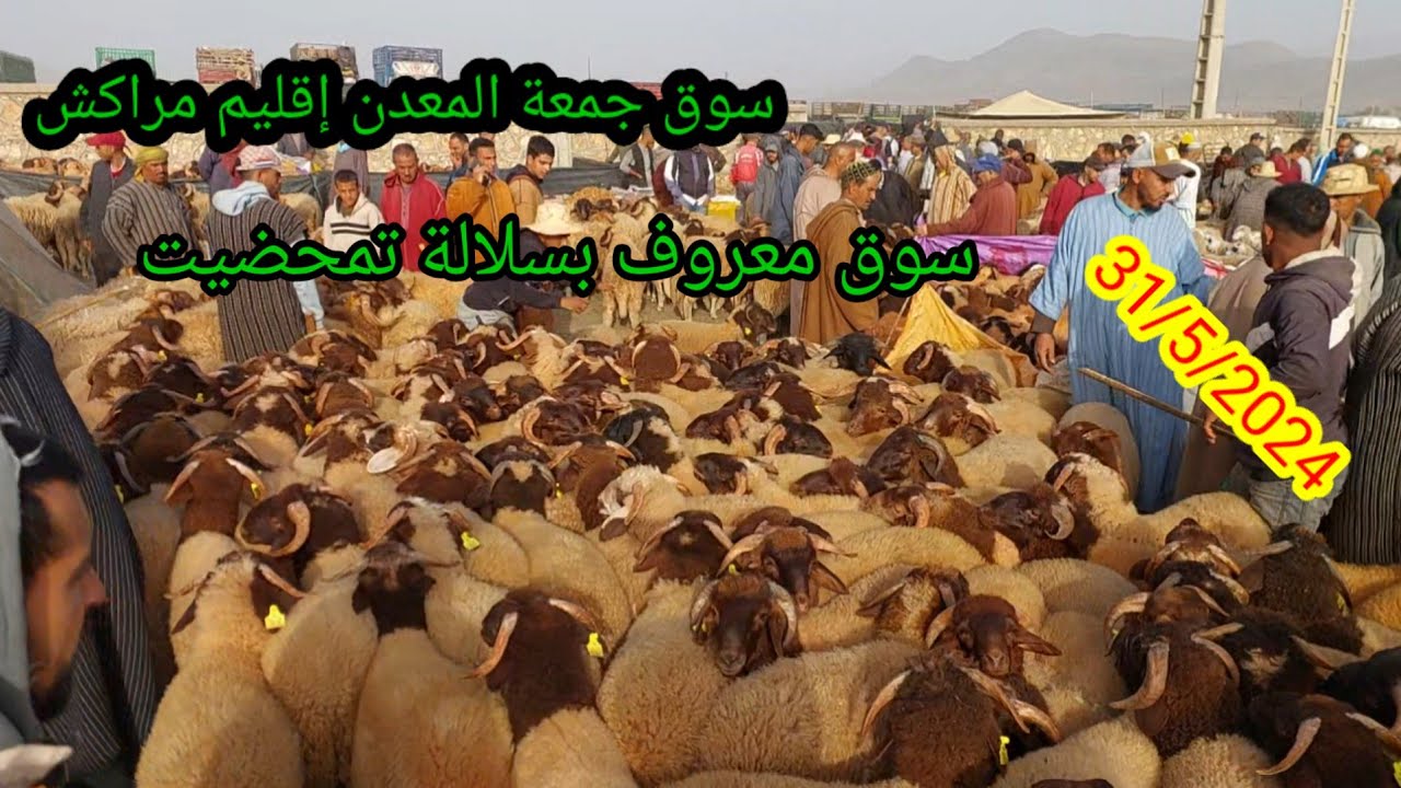 ماشاءالله هاد السوق فيه تمن زوين جمعة المعدن إقليم مراكش بتاريخ 31/5/2024 #حولي_بركي_وصردي