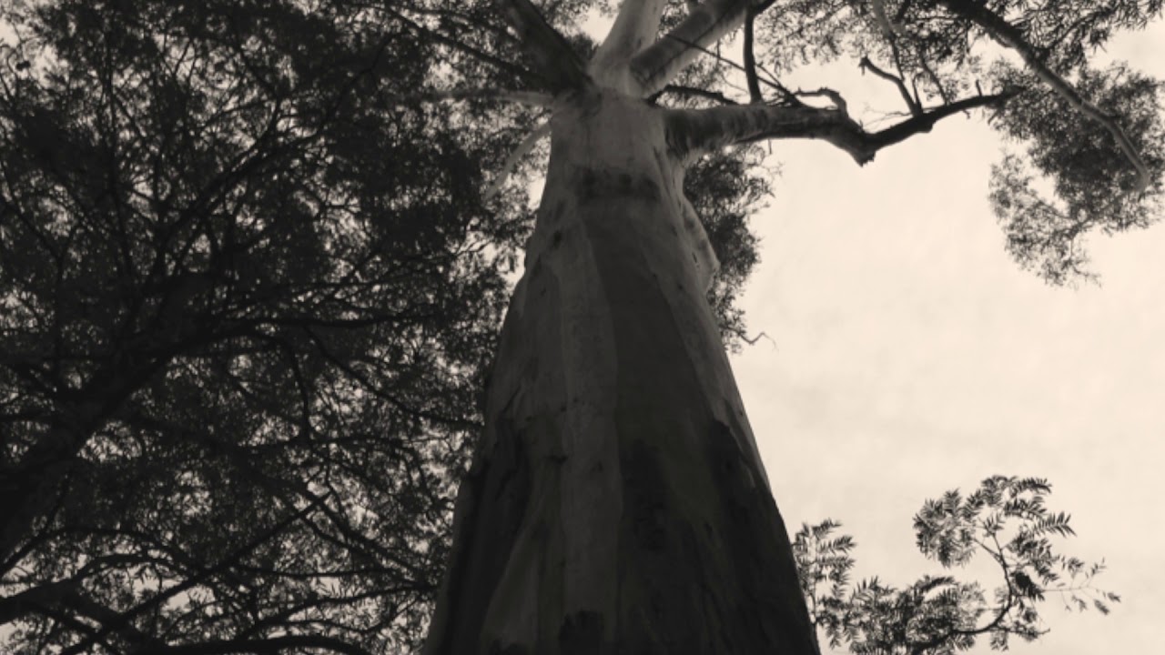 Not Alone--Amelia Mader