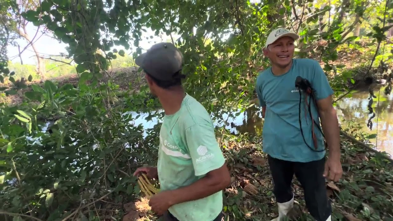 Así nos fue en la cacería de iguanas no te lo pierdas 