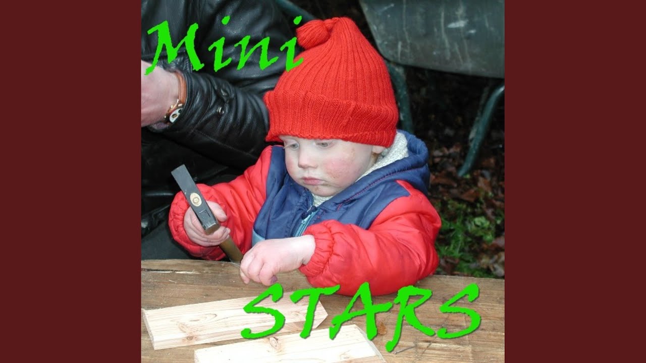 Mini-Maxi-Band (Die Mini Stars)
