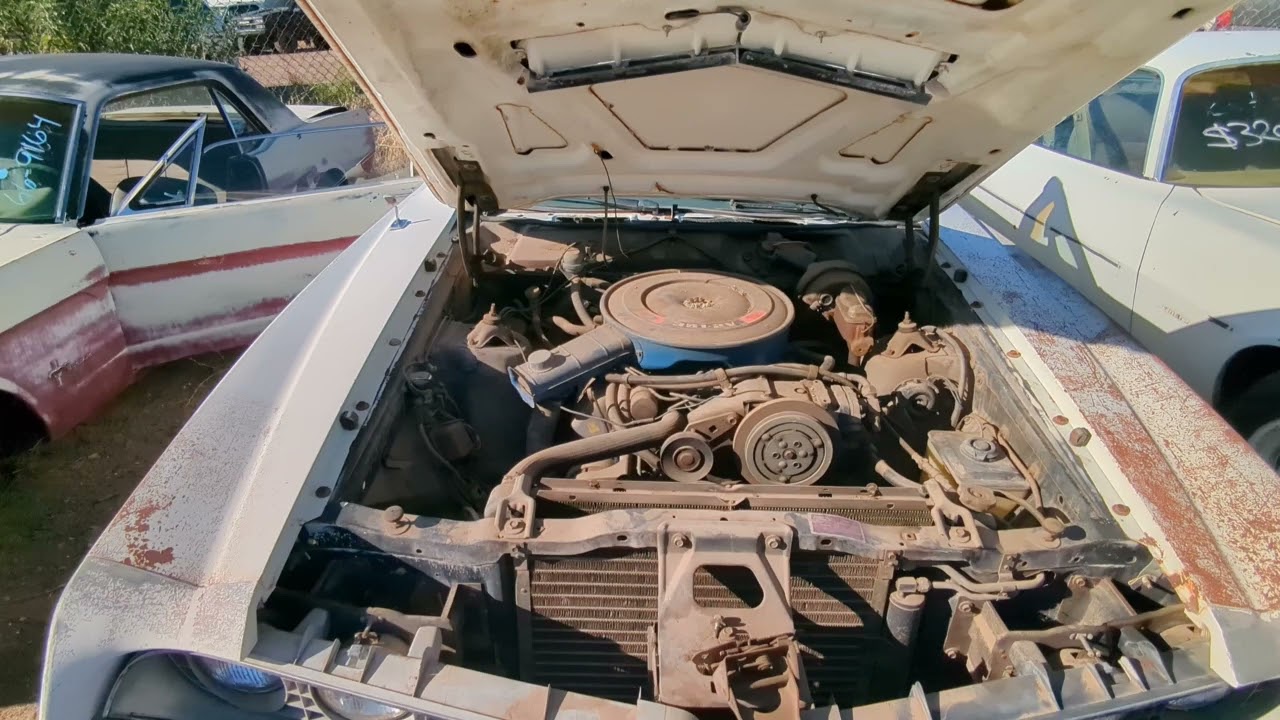 Can this Torino live again?