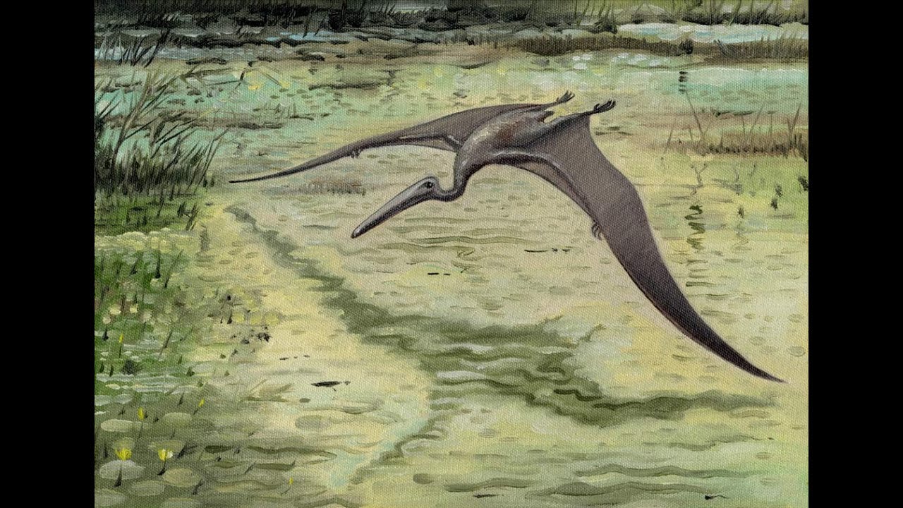 Kongamato: Prehistoric Jungle Cryptid?